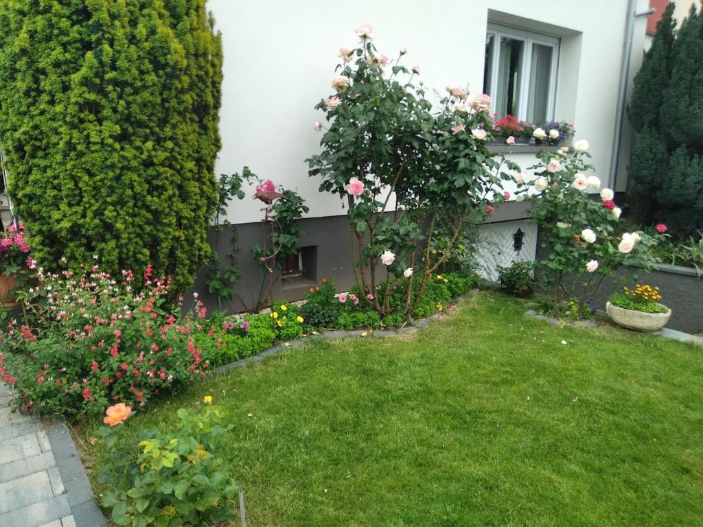 La rose beautiful brand new apartment in souplex - 5