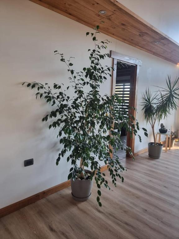 Casa Panorámica en la Naturaleza - 5