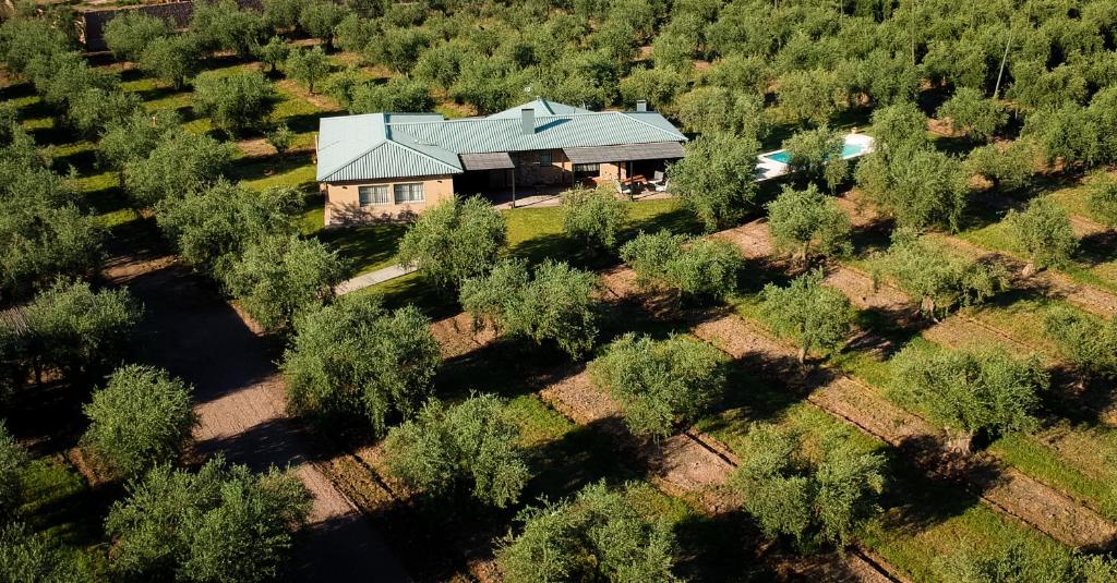 Finca Verde Oliva Wine & Olive Estate - 2