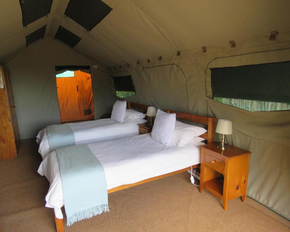 Munching Ik denk dat ik ziek ben lekken Woodbury Tented Camp – Amakhala Game Reserve, Rentals Amakhala Game Reserve