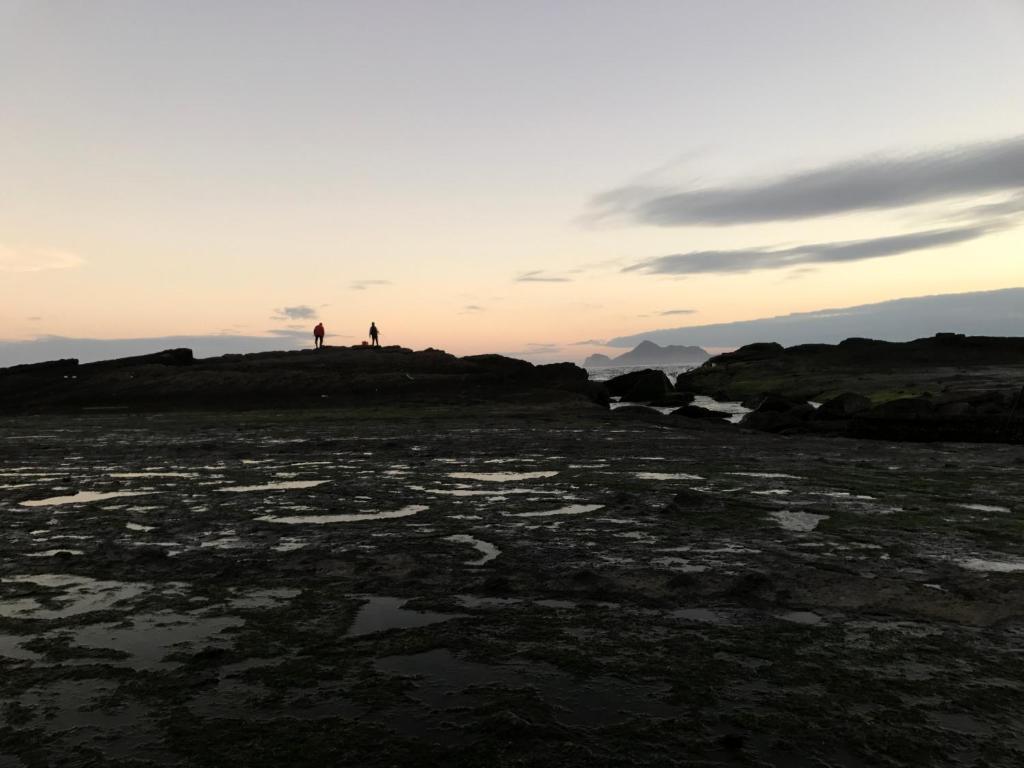 Surrounding environment
