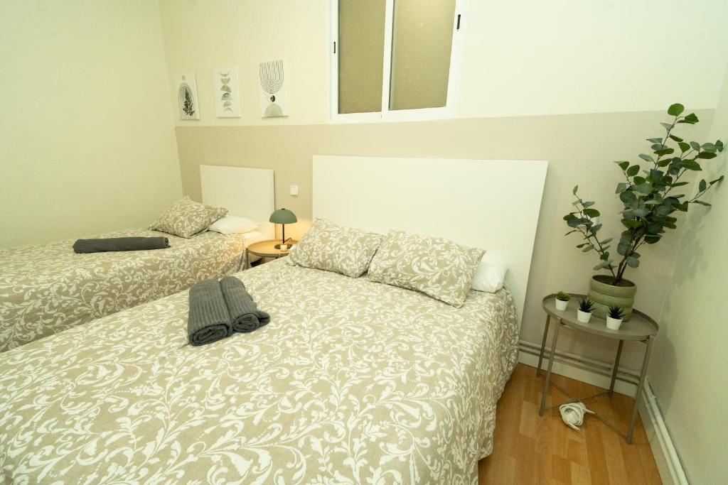 San Andres Street, Private rooms - 3