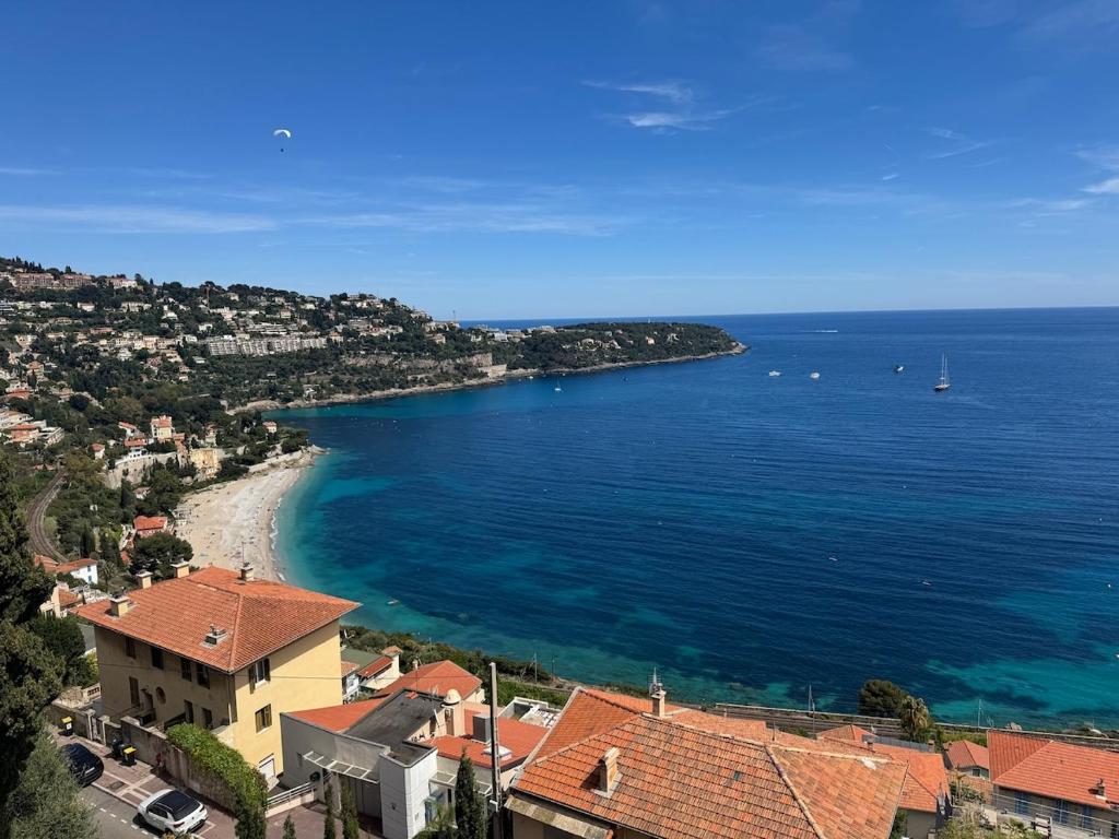 Panoramic Sea View Penthouse - Walk to Monaco GP - 1