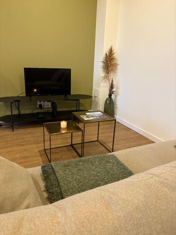 Charmant duplex Nancy - Secteur Gare - 4
