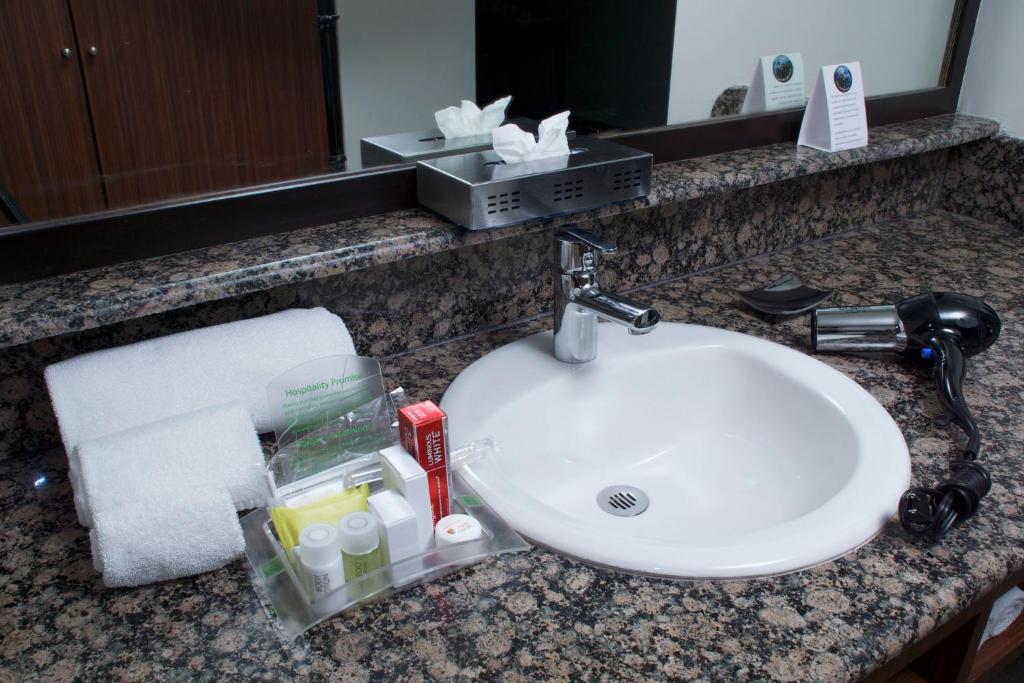 Holiday Inn Mexico City - Trade Center by IHG - 4