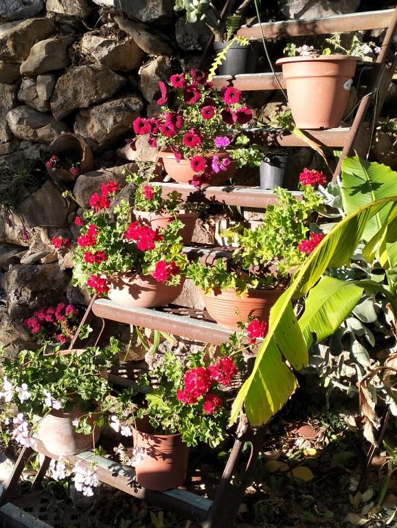 Appartamento Rosina - 3