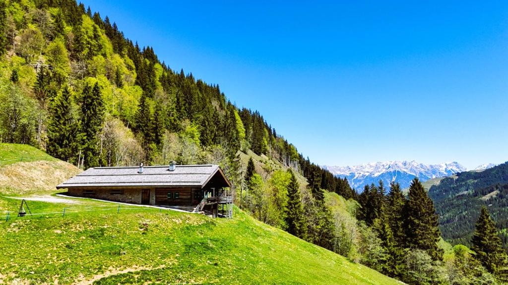 Premium Almhütte Leogang Family, Friends & Biker - 4