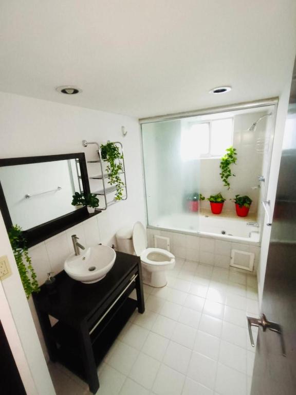 Departamento en Tehuantepec Roma Norte 237 - 2