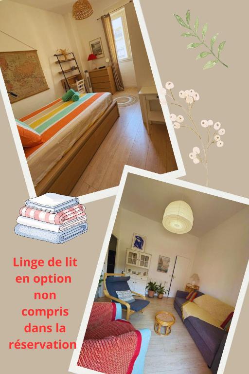Le Jean Moulin Vert - 4
