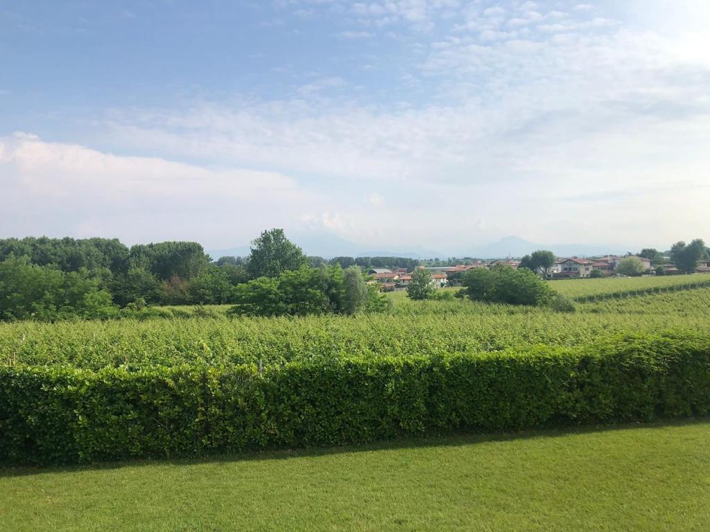 Viridis Garda - Nature&Relax - 5