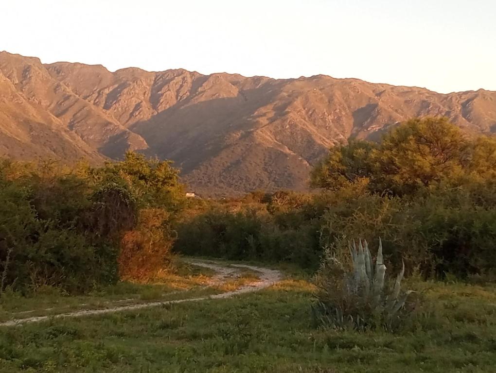 Mostepa - 4