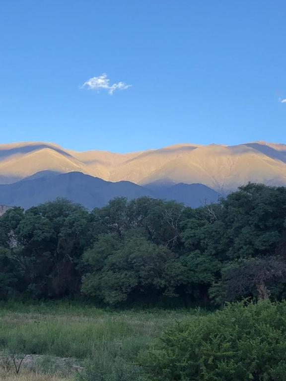 La Fronterita - 2