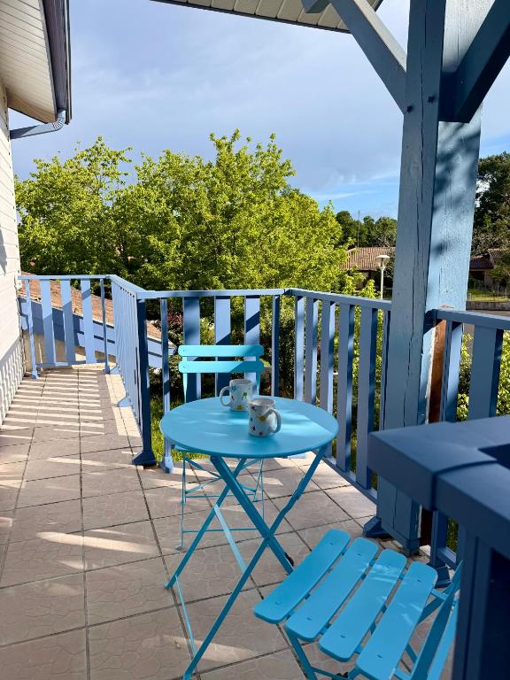 Le Balcon bleu de Biscarrosse - 2