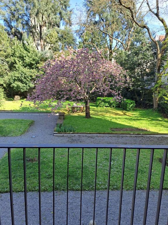 Joli appartement T3 proche centre et proche gare - 4