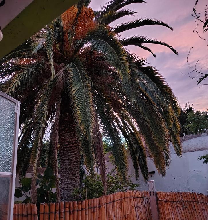 HouseBoutique apartment en Godoy Cruz, Mendoza - 4