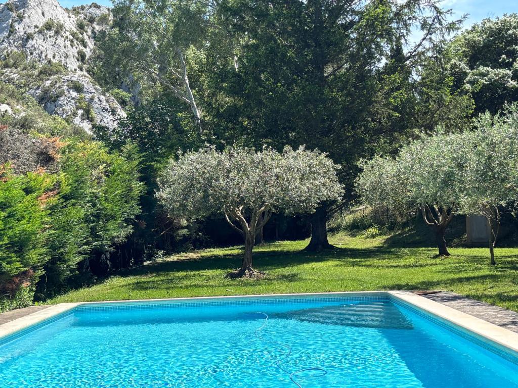 La roulotte du petit paradis - 4