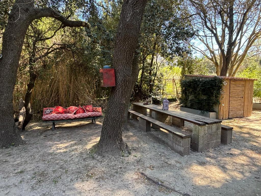 La roulotte du petit paradis - 3
