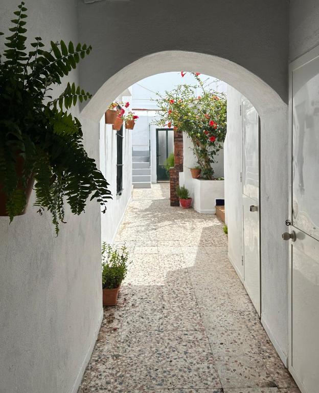 Casa El Patio - Solo Familias - 1