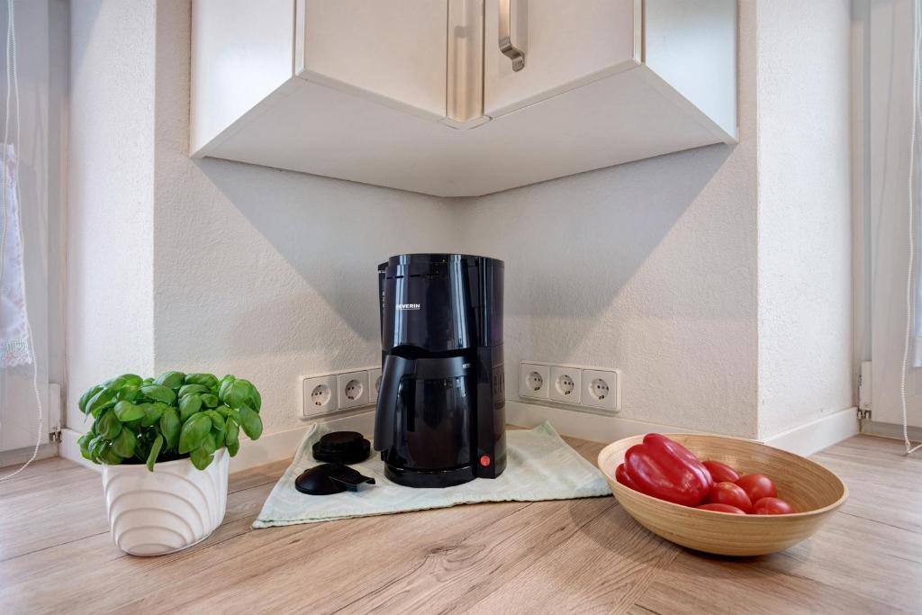 Ferienwohnung Trendelmühle Lautrach - 5