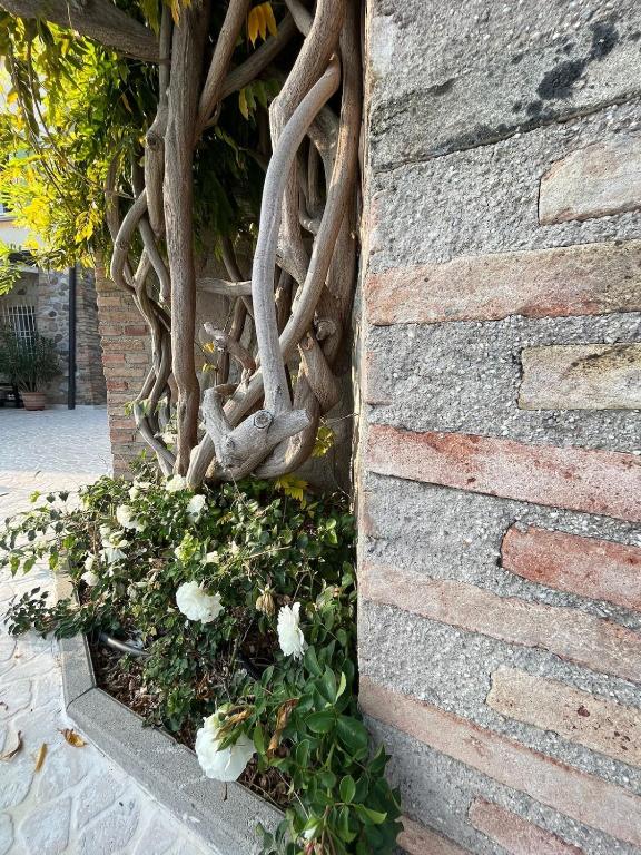 La Casa di Fini - 4