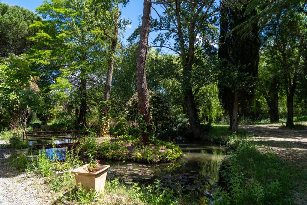 L'îlot Feng Shui - Jardin & 400m de la Cité - 3
