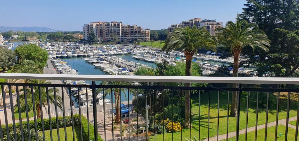 Apartment 50 m2 for 2 p maximum Marina view, Swimming pool, Wi-Fi, Air conditioning, Parking - 1