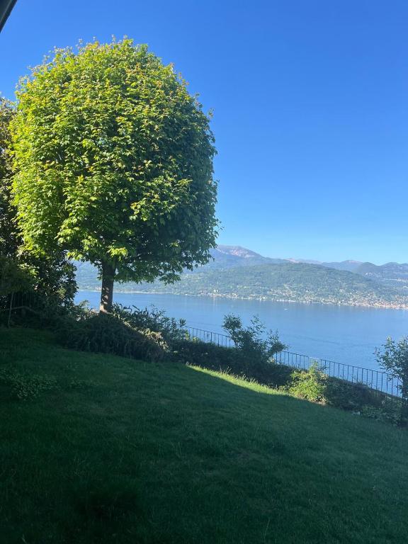 Villa Stresa Lakeview and Pool - 3