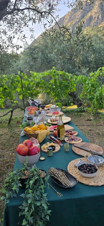 My Olive Garden Camp - 3