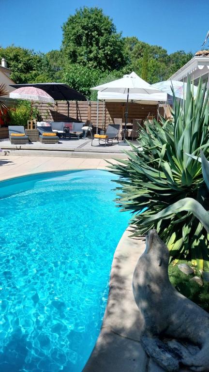 Villa Paloma climatisée, avec piscine au sel - 2