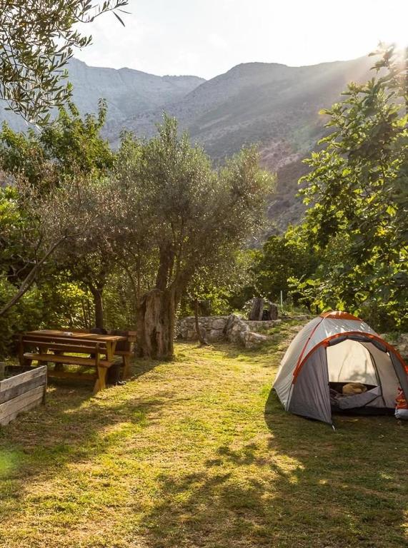 My Olive Garden Camp - 1