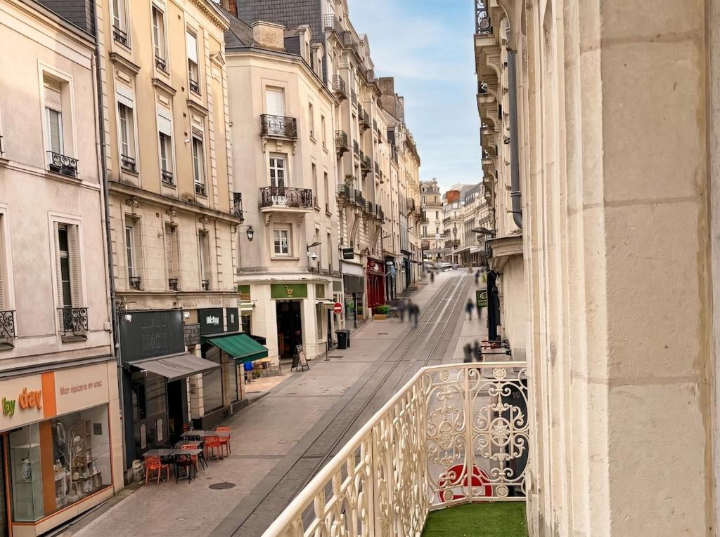 T2 Hypercentre Angers, Balcon, Fresques - 3