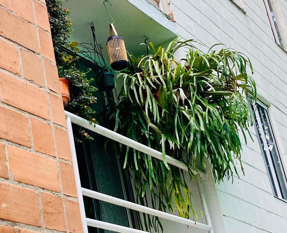 Peaceful nature retreat in green Envigado-2BR - 4