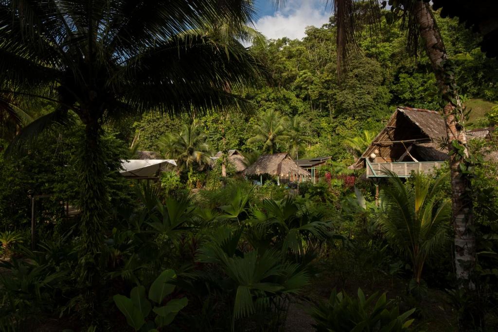 Hotel Pijibá Lodge - 3