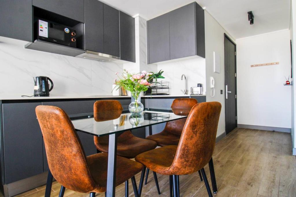 Vista Cordillera, chic 2D-2B, Wifi, Santiago - Apartment - 2