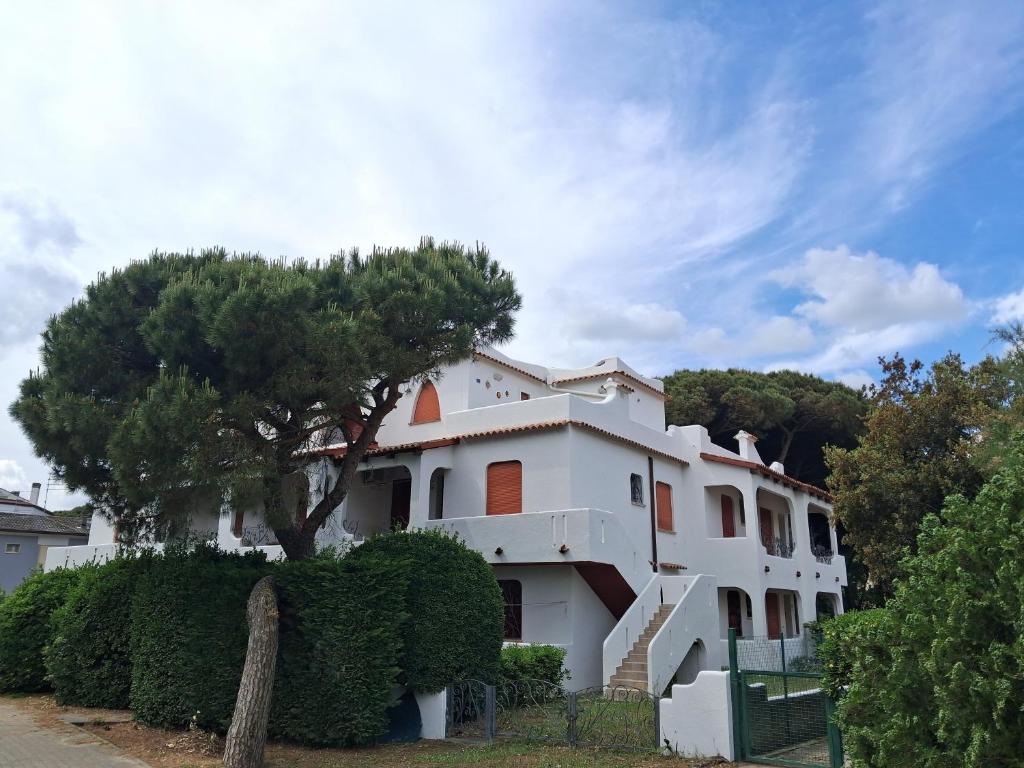 Attico Resplendor Fronte mare - 2