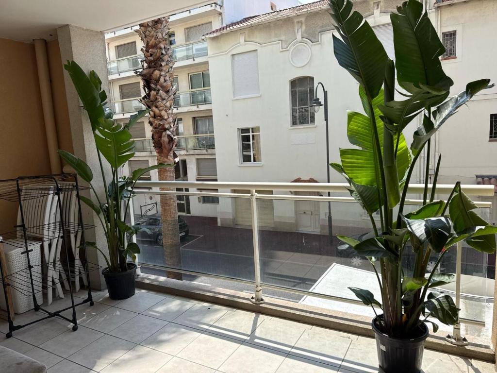 2-Bedroom Apartment in Cannes ,Terrace, 4 People, Beaches , Downtown - 3