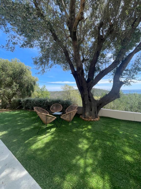 Location estivale 4 à 7 personnes Santa Giulia - 2