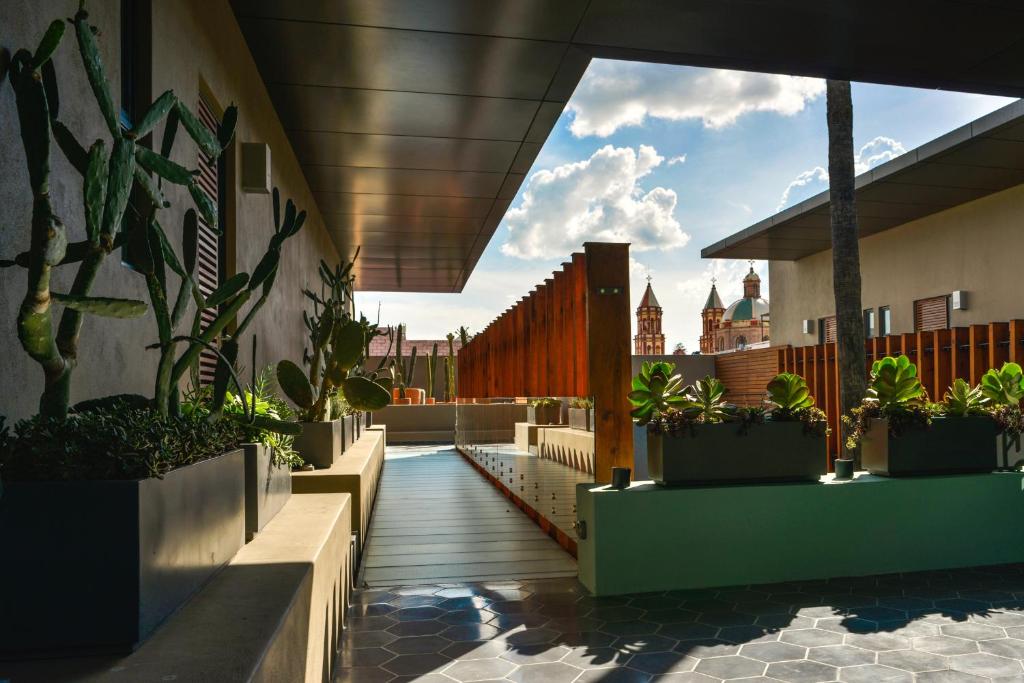 Hotel Criol - 2