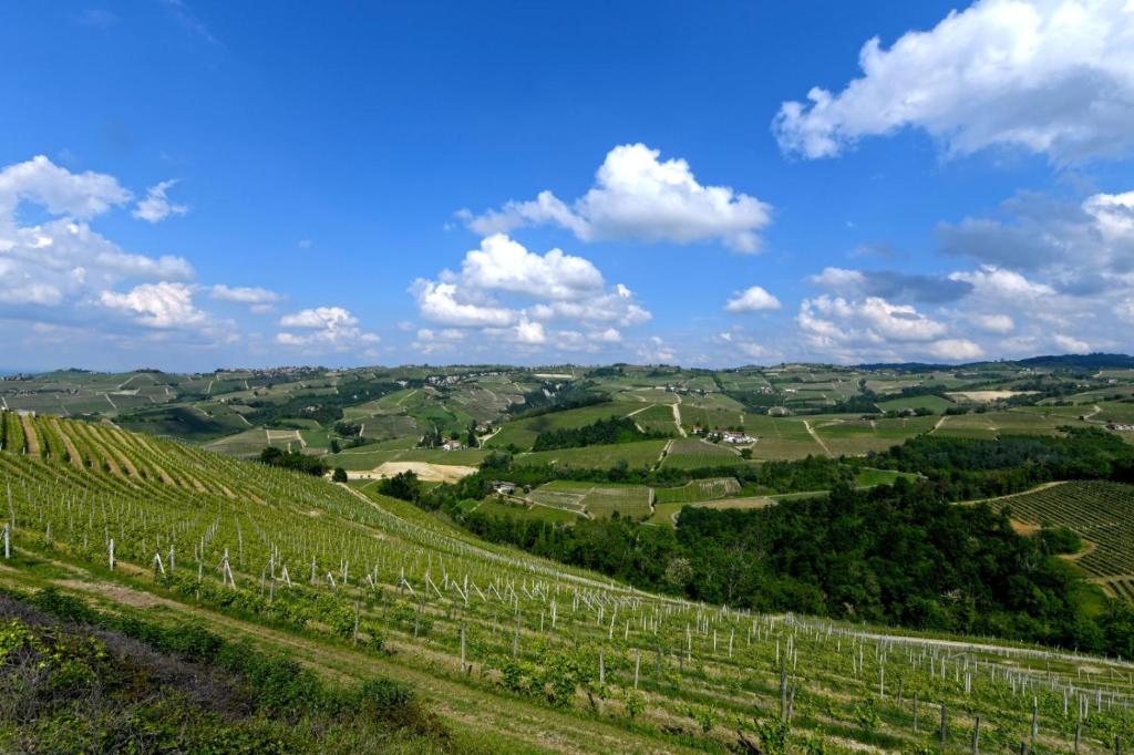 Locanda Del Pilone - 2