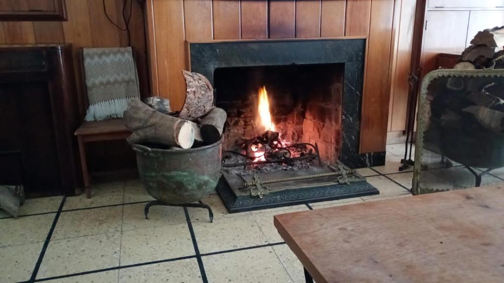 Casa Elvira - 3