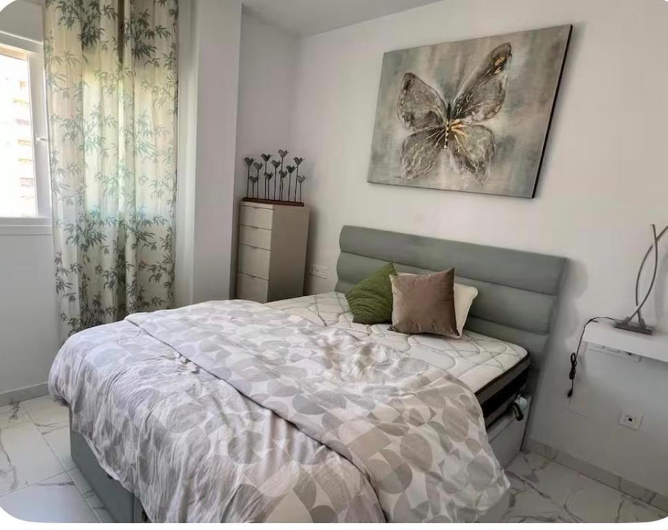 Central new build in Torrevieja - 5