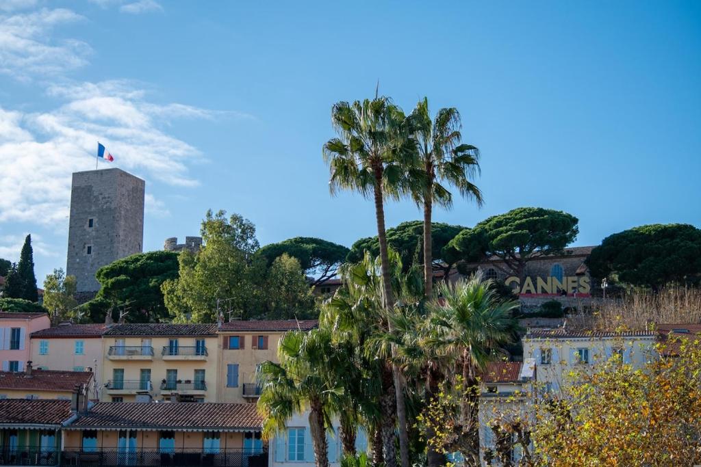 Appartement situé à 5 minutes à pieds du palais des festivals - 5