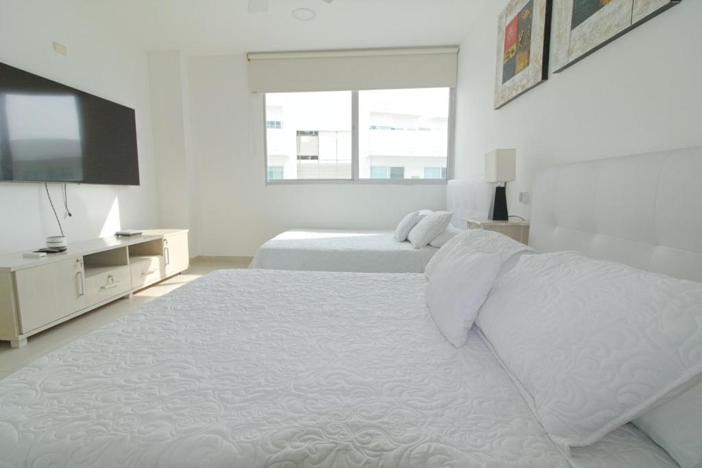 Beautiful – Ocean View & Beach Access – Pool - 3