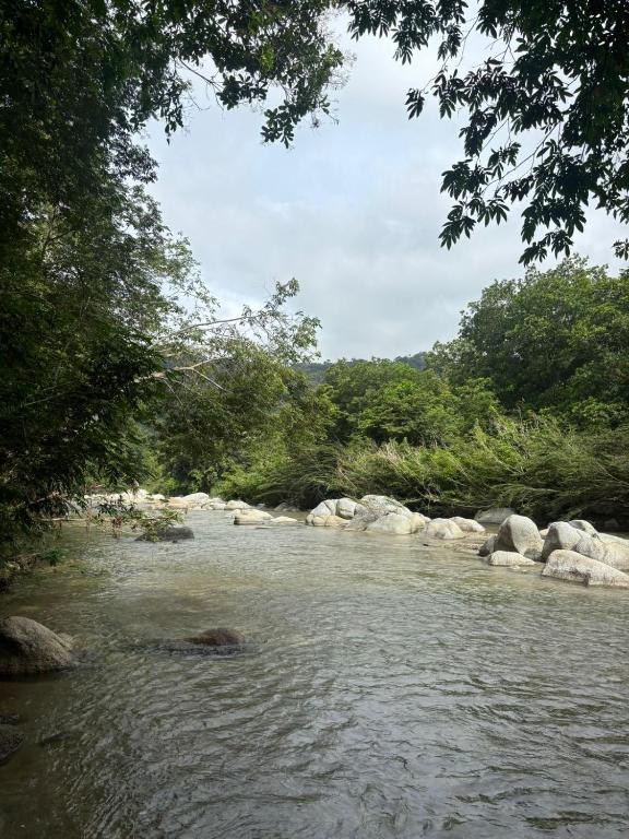 Hostal Nomadax Tayrona - 3
