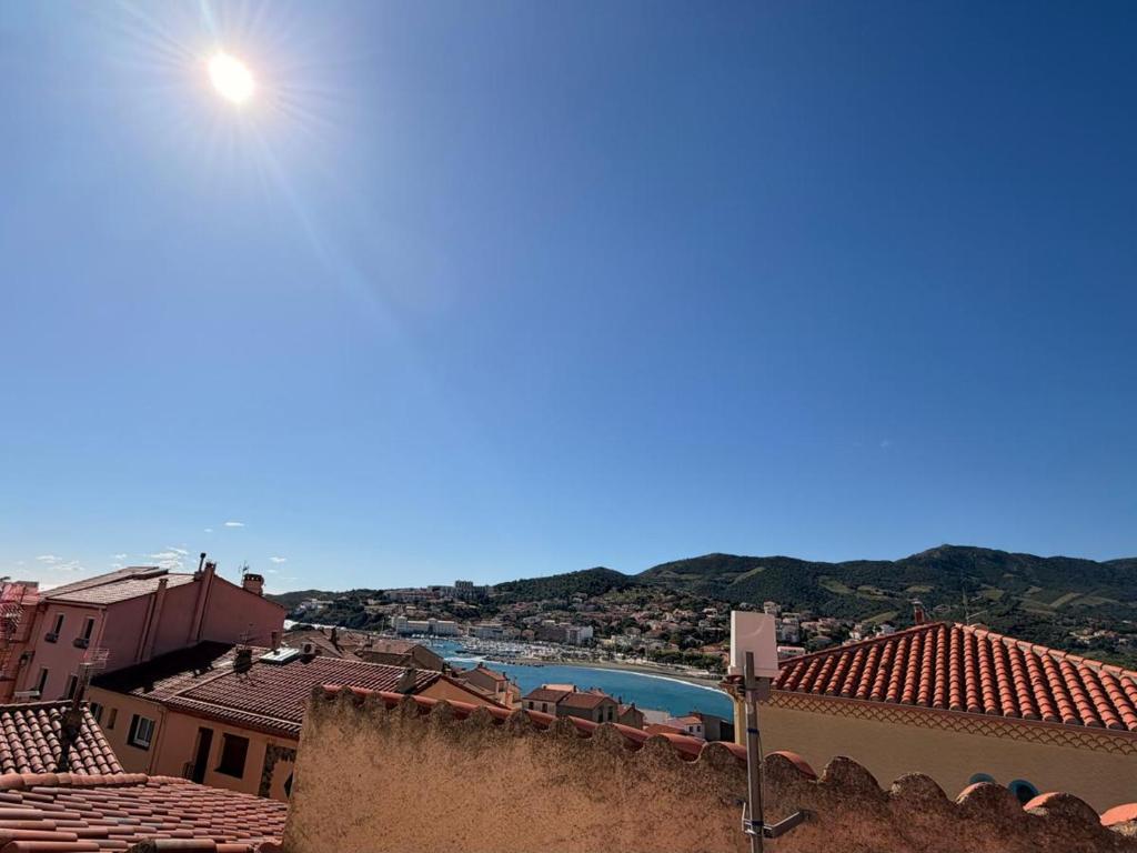 BANYULS-SUR-MER, studio avec terrasse, proche plage - FR-1-309-323 - 3