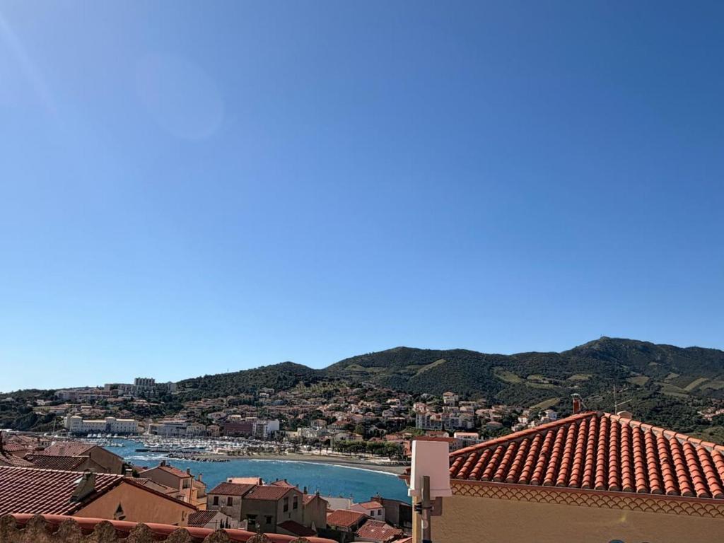 BANYULS-SUR-MER, studio avec terrasse, proche plage - FR-1-309-323 - 4