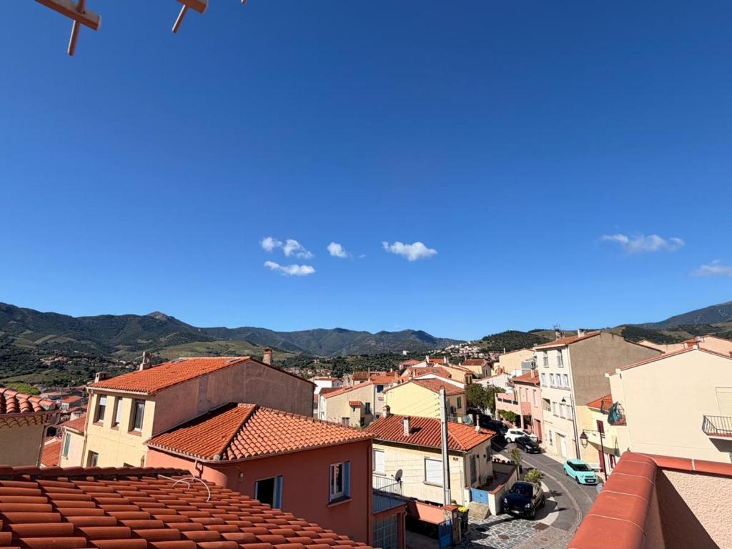 BANYULS-SUR-MER, studio avec terrasse, proche plage - FR-1-309-323 - 5