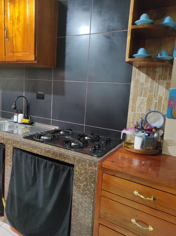 Cenizo's house - apartment in downtown Mindo - 3