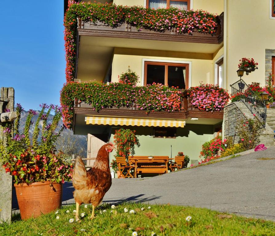 Pension Spreitzhof & Appartement Royer - 5