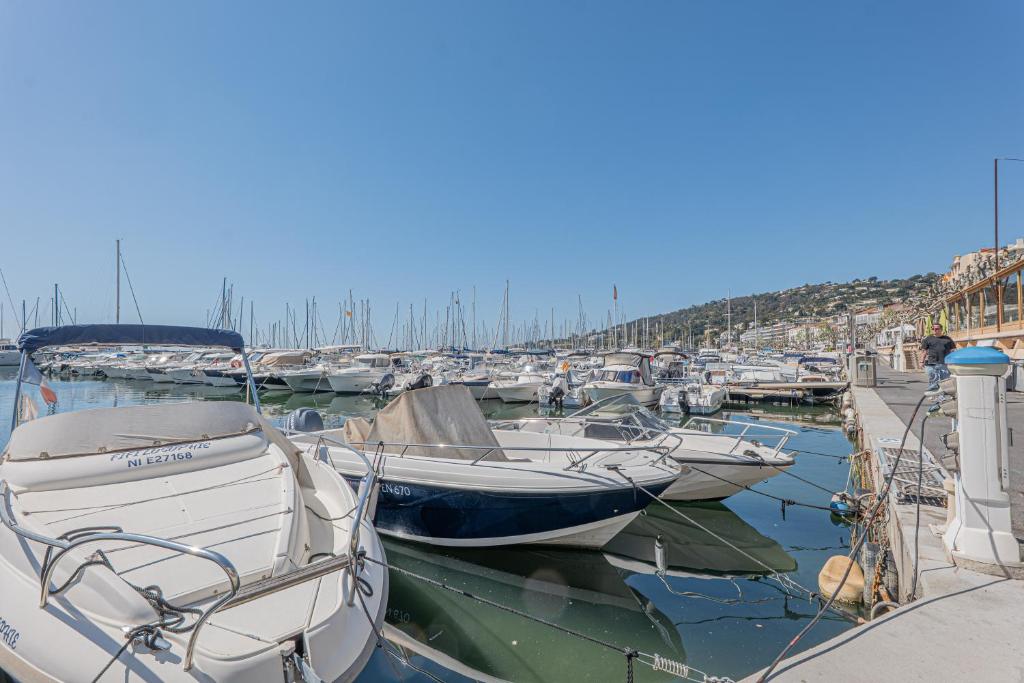 Lovely Seaside Golfe Juan - Marina - Pool - Garage - 5